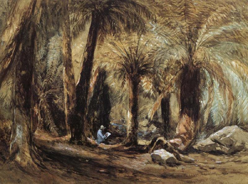 John Skinner Prout Fern Tree Gully,Mount Wellington oil painting image